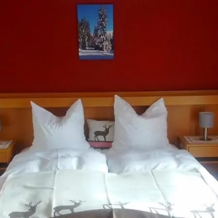 Apartment Am Letten *